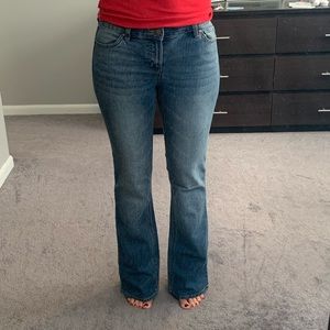 Daisy Fuentes Bootcut Jeans